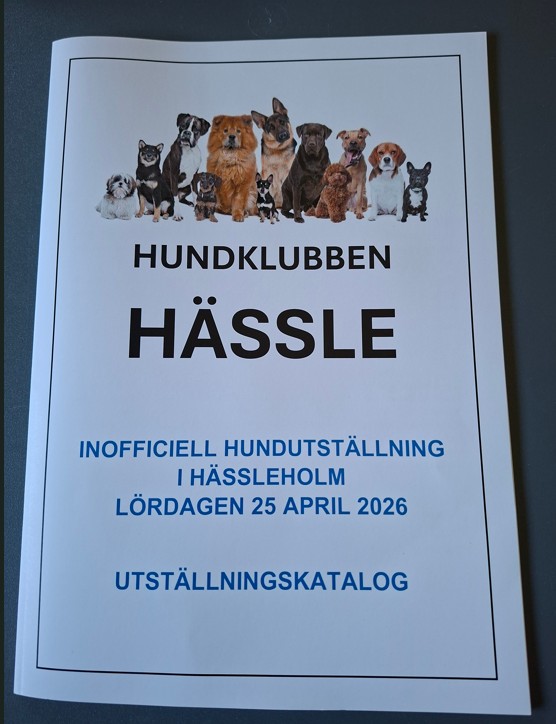 Utställningskatalog 2026