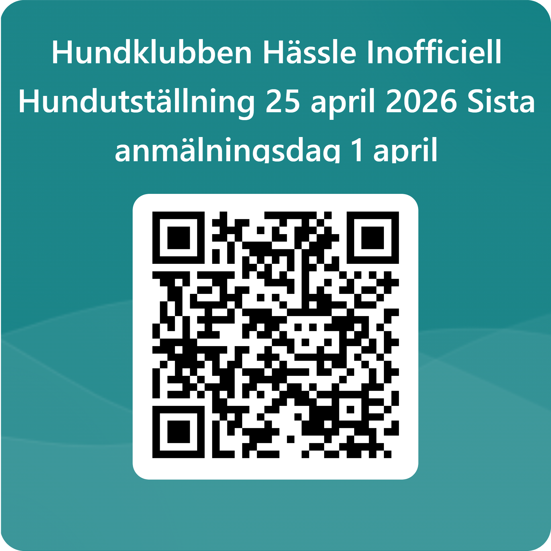 Från hundutställning 2024