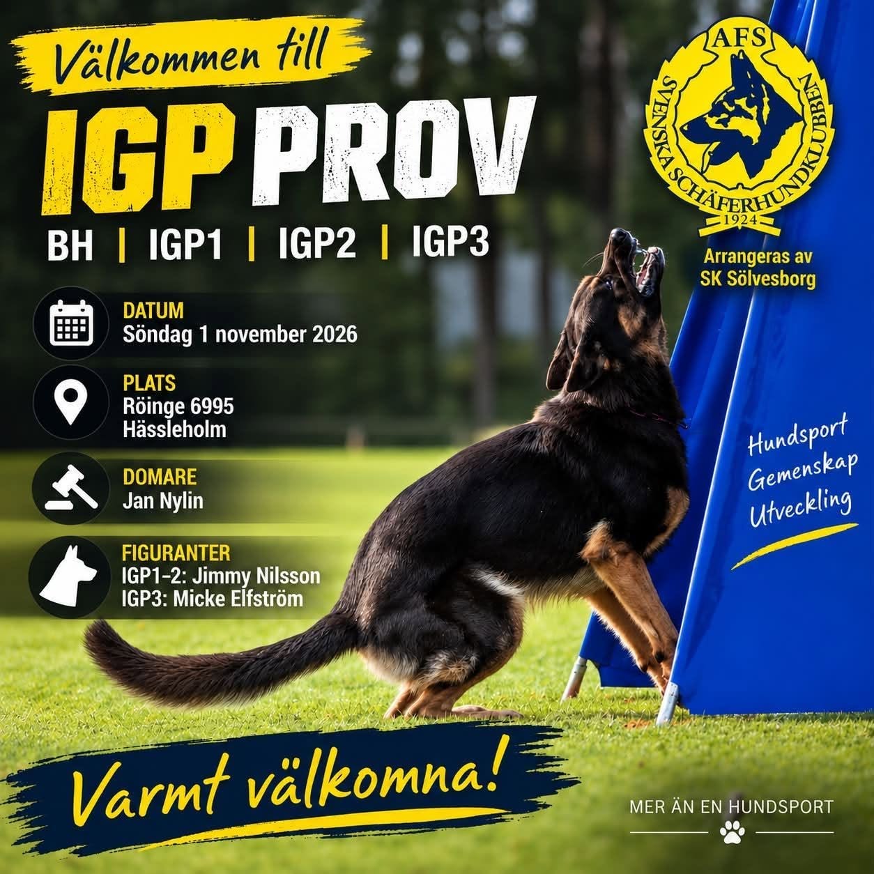 IGP Prov